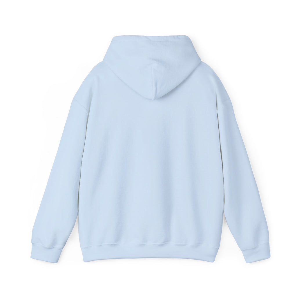 Coastal Sunset Surf Hoodie — 'Endless Summer' Graphic Hooded Sweatshirt
