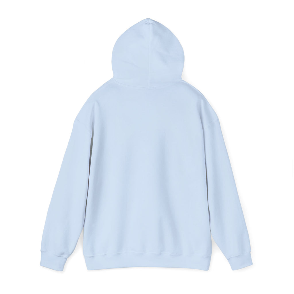 Coastal Sunset Surf Hoodie — 'Endless Summer' Graphic Hooded Sweatshirt