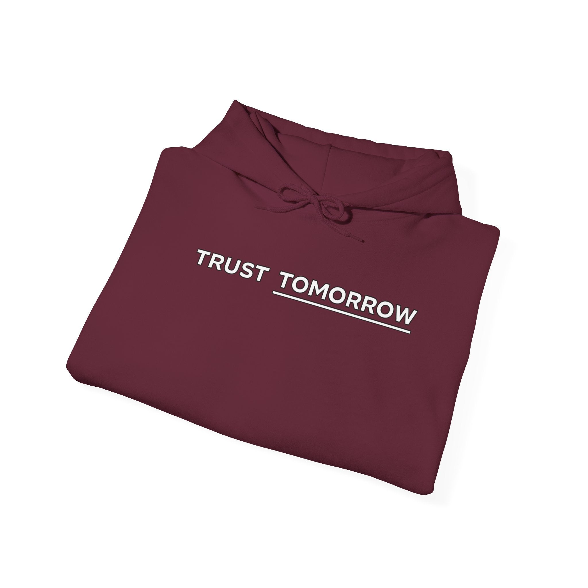 Trust Tomorrow Hoodie — Mountain Graphic Pullover