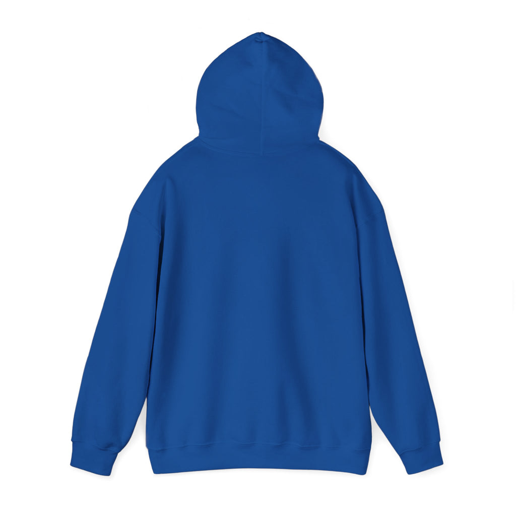 Coastal Sunset Surf Hoodie — 'Endless Summer' Graphic Hooded Sweatshirt