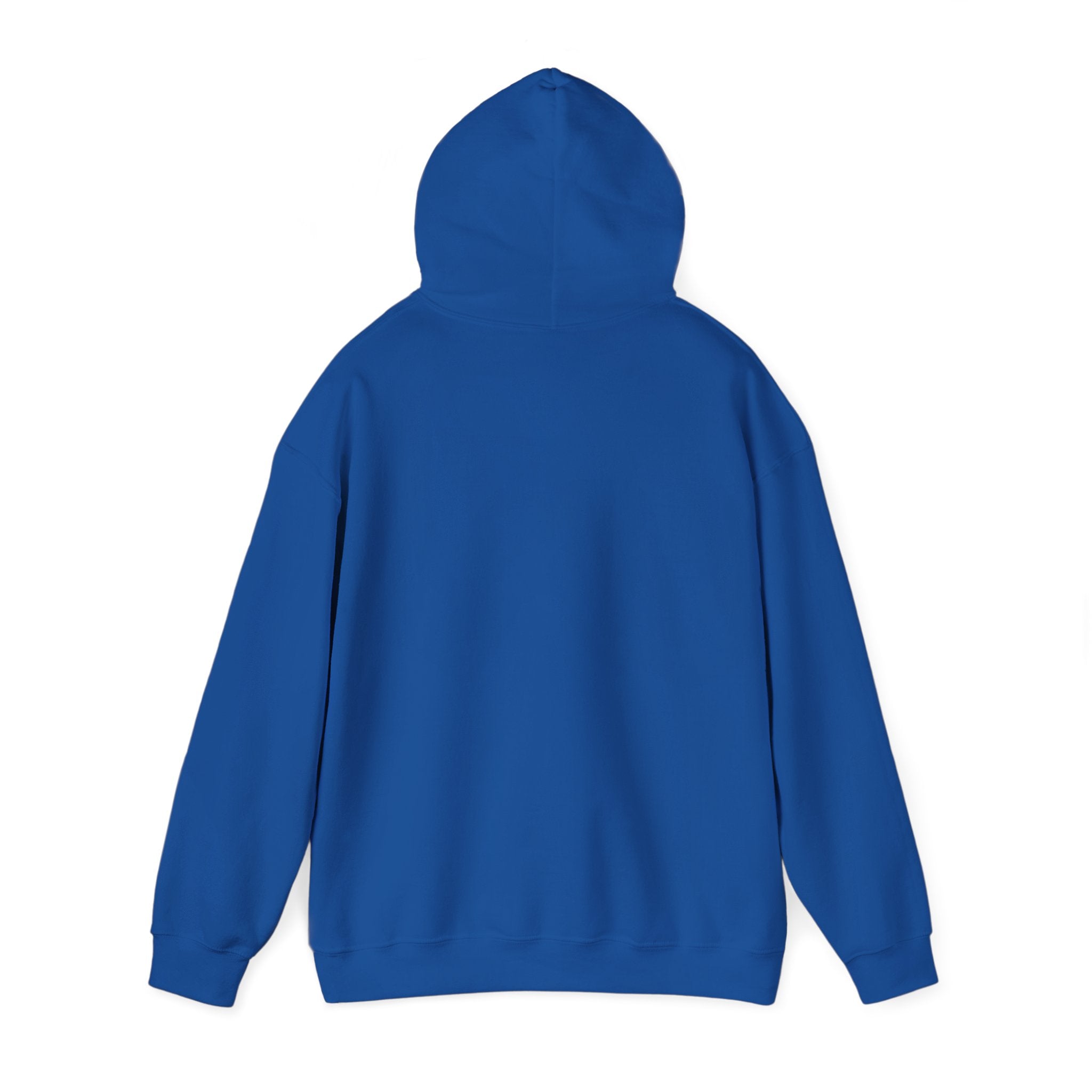 Coastal Sunset Surf Hoodie — 'Endless Summer' Graphic Hooded Sweatshirt