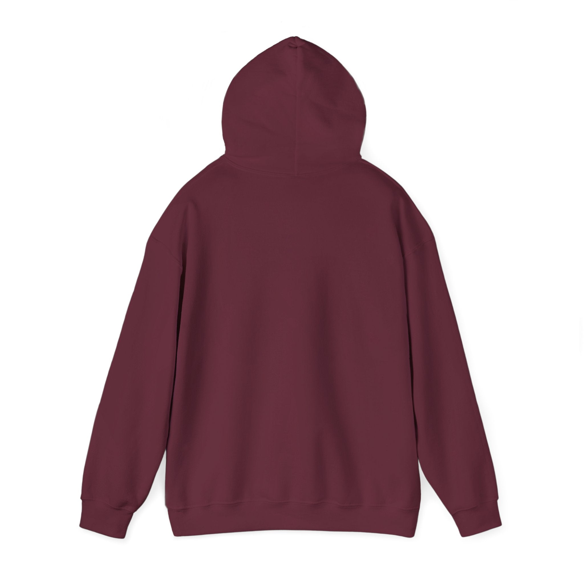 Coastal Sunset Surf Hoodie — 'Endless Summer' Graphic Hooded Sweatshirt