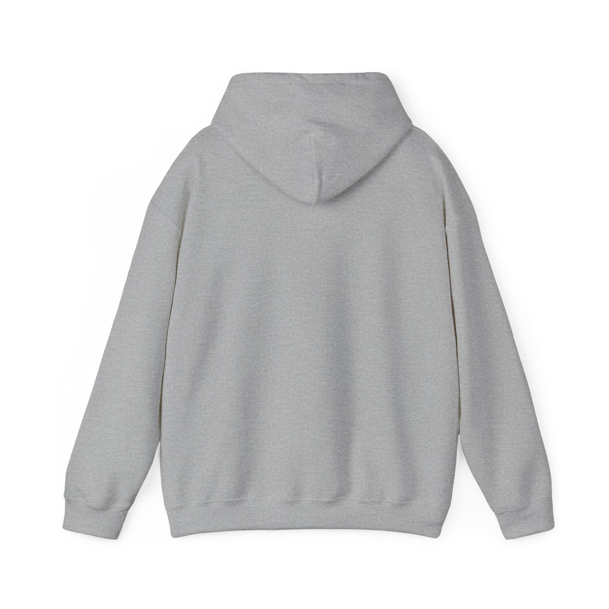 Coastal Sunset Surf Hoodie — 'Endless Summer' Graphic Hooded Sweatshirt