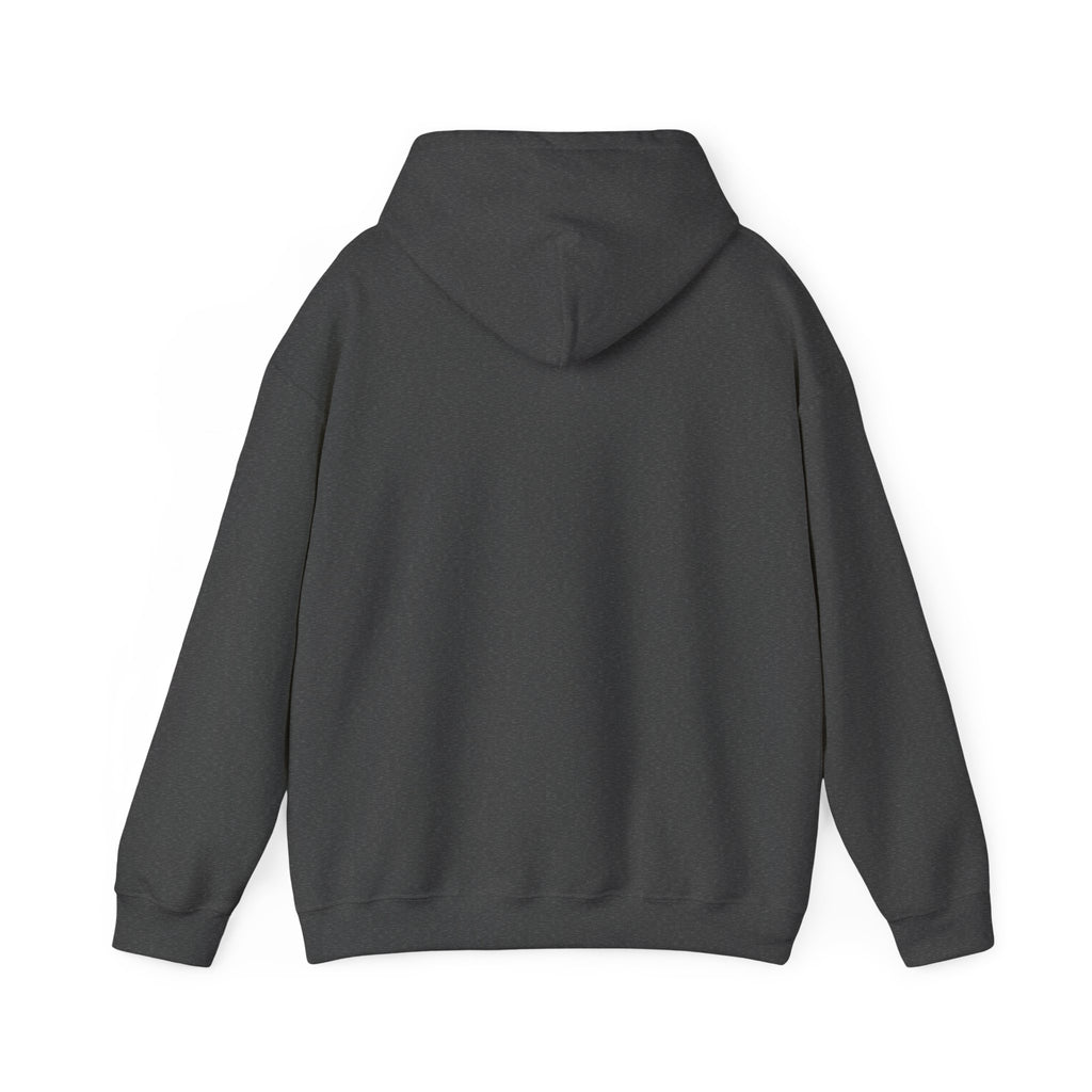 Coastal Sunset Surf Hoodie — 'Endless Summer' Graphic Hooded Sweatshirt