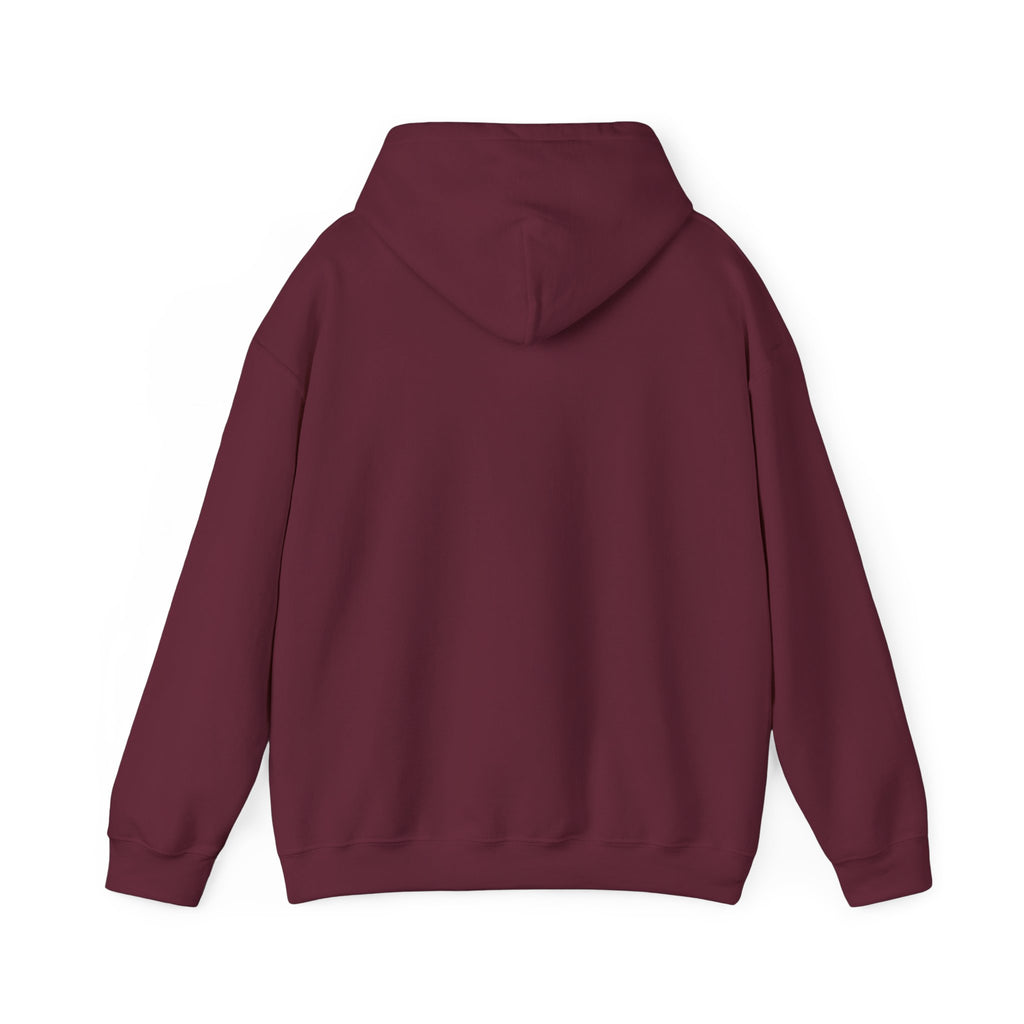 Coastal Sunset Surf Hoodie — 'Endless Summer' Graphic Hooded Sweatshirt