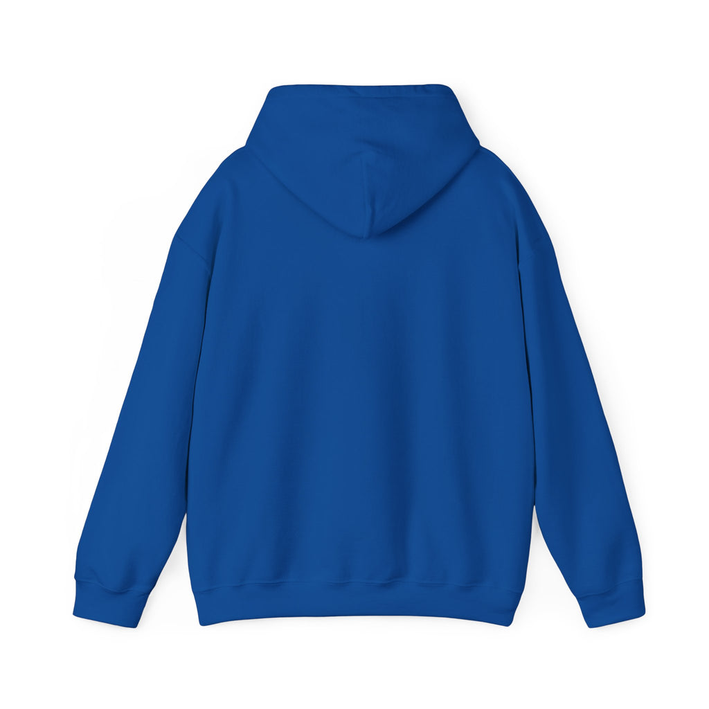Coastal Sunset Surf Hoodie — 'Endless Summer' Graphic Hooded Sweatshirt