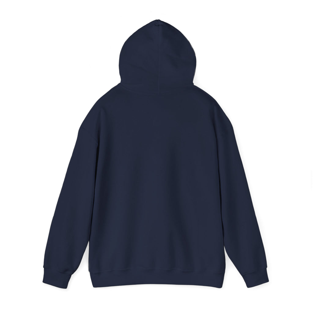 Coastal Sunset Surf Hoodie — 'Endless Summer' Graphic Hooded Sweatshirt