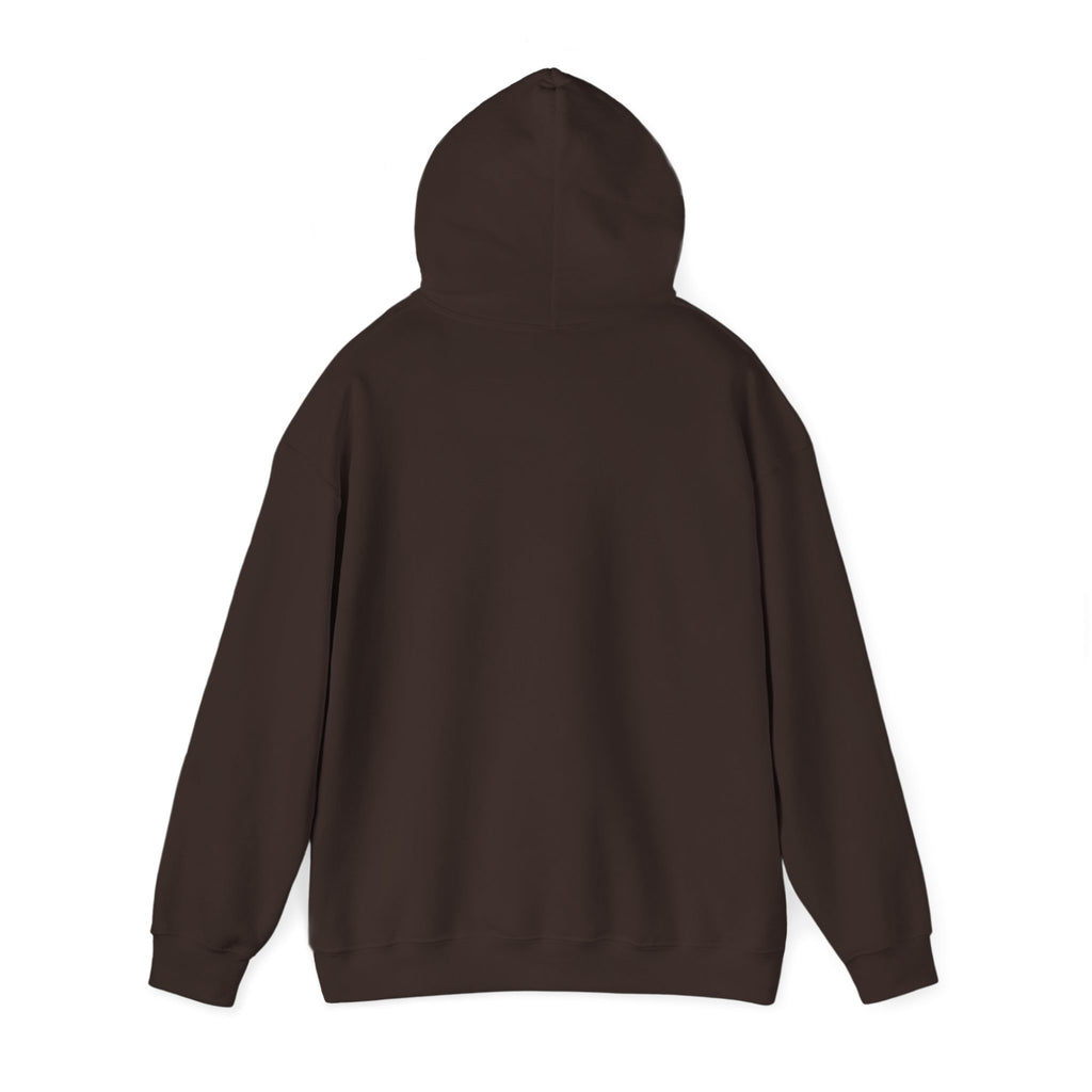 Coastal Sunset Surf Hoodie — 'Endless Summer' Graphic Hooded Sweatshirt