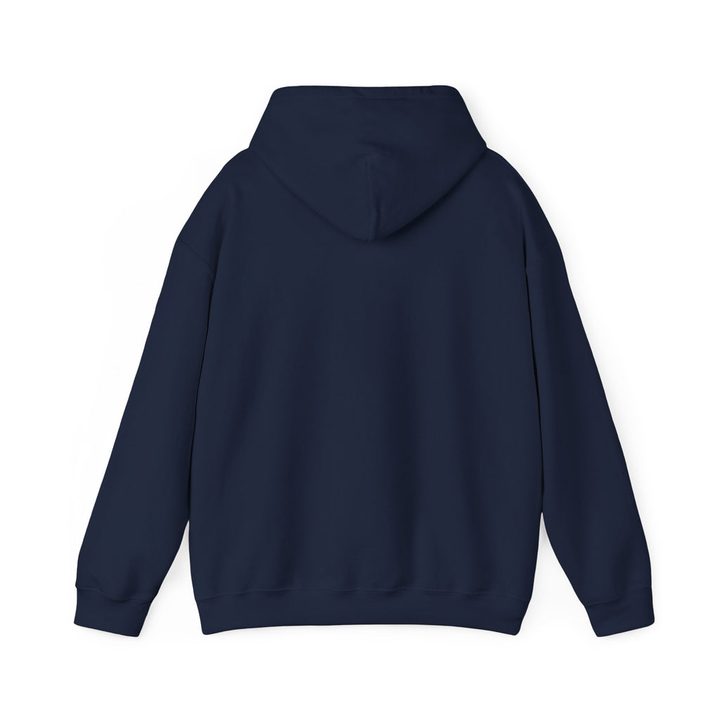 Coastal Sunset Surf Hoodie — 'Endless Summer' Graphic Hooded Sweatshirt