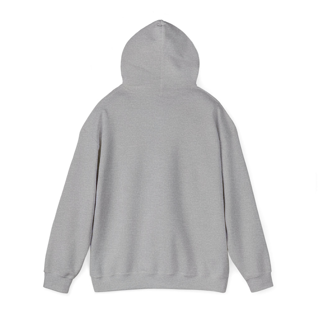 Coastal Sunset Surf Hoodie — 'Endless Summer' Graphic Hooded Sweatshirt